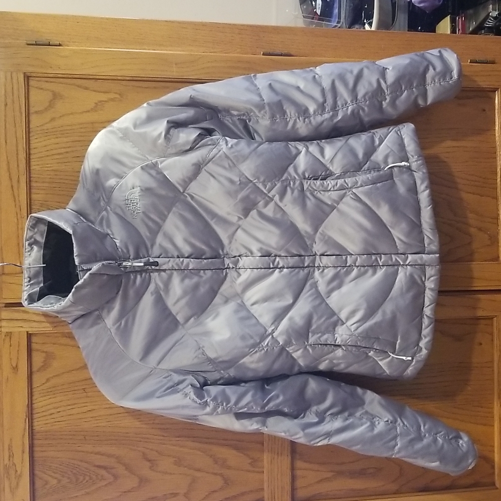 The North Face Silver 550 Puffer Jacket